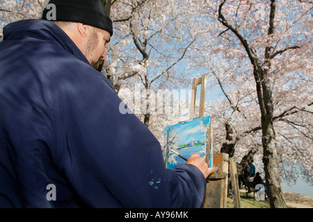 Ein Künstler malt eine Landschaft mit blühenden japanischen Kirschbäume, des Tidal Basin, Washington, D.C. Stockfoto