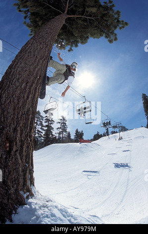 SNOWBOARDER NOLLIE AN EINEM BAUM ZU TUN Stockfoto