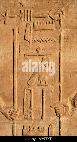 Nahaufnahme der hieroglyphischen Reliefs in Karnak Tempel, Luxor, Ägypten Stockfoto