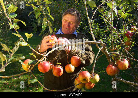 Mond-Gärtner John Harris mit dem Blenheim Orange Apfel. Stockfoto