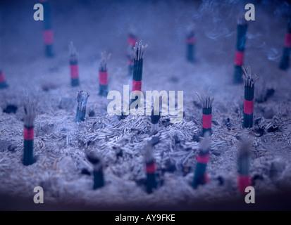 Tempel Weihrauch klebt Stockfoto