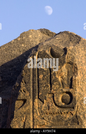 Kartusche von Ramses II Ramessuem Westjordanland Luxor Ägypten baute er seine fabelhafte Totentempel an Stelle der zerstörten Tempel Seti I Stockfoto