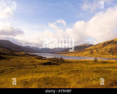 Loch Arklet im Herbst in der Nähe von Aberfoyle The Trossachs Schottland Stockfoto