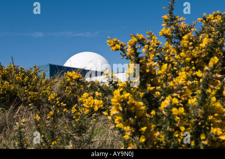 British Energy Sizewell B Kernkraftwerk Stockfoto