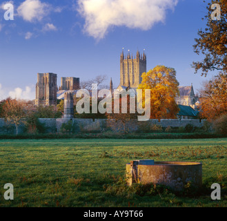 Wells Cathedral Somerset England im Abendlicht im Herbst Stockfoto