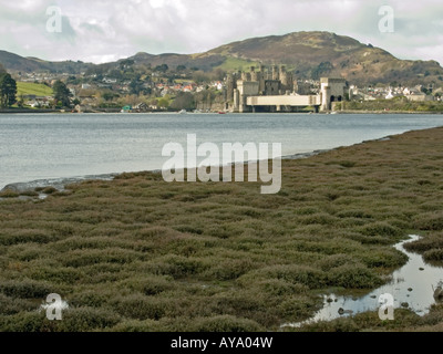 Conwy-Mündung, Burg und Hängebrücke Stockfoto