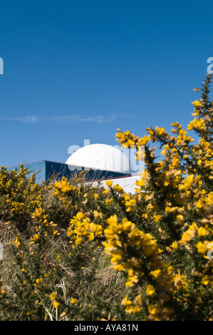 British Energy Sizewell B Kernkraftwerk Stockfoto