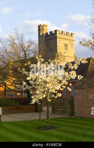 St. Peter und St. Paul Farningham Kent Stockfoto