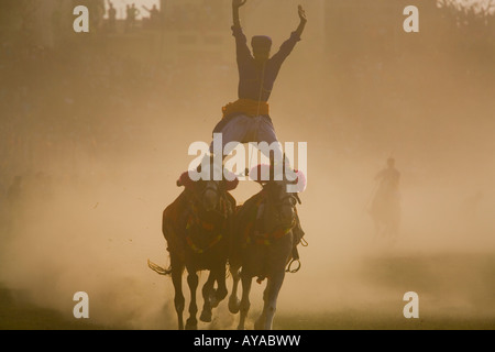 Aufladen von Pferd und Reiter auf dem Sikh Festival, Hollamohalla Festival, Anandpursahib, Punjab, Indien Stockfoto