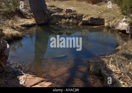 Quarai Ruinen Pool Stockfoto