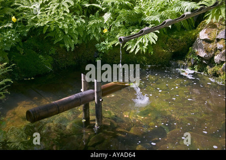 Wasser verschütten aus Bambus Eber Nageltiereverscheucher im Teich am japanischen Garten in Butchart Gardens Victoria British Columbia Kanada Stockfoto