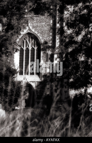 Ein Blick auf All Saints Church, Brightlingsea durch Bäume auf dem Friedhof. Stockfoto