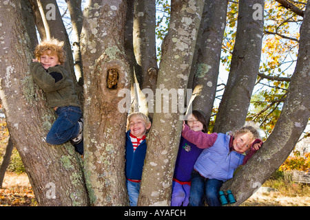 Vier Kinder (im Alter von 4 und 6) klettert einen Baum in Biddeford, Maine. Stockfoto