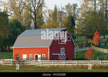 Eine rote Scheune auf einem kleinen ländlichen Bauernhof Stockfoto