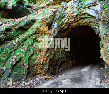 Außenansicht des Mannes machte Tunnel in Red River Gorge, Nada, Kentucky. Stockfoto