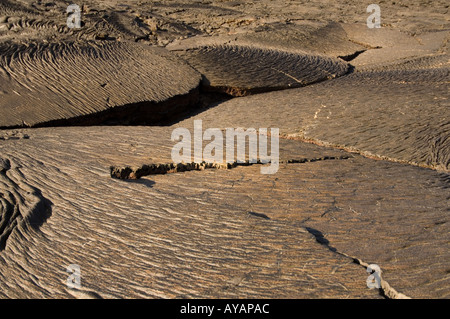 Zerklüftete Pahoehoe-Lava, Sullivan Bay Santiago Insel Galapagos Ecuador Stockfoto