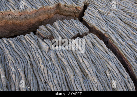 Zerklüftete Pahoehoe-Lava Sullivan Bay Santiago Insel Galapagos Ecuador Pazifik Südamerika Stockfoto