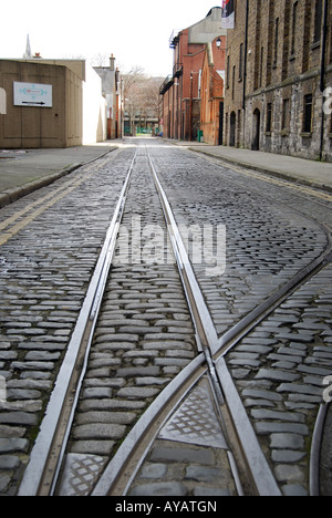 Straßenbahnlinien glänzend heraus in die tiefstehende Sonne in den gepflasterten Straßen von Dublin, in der Nähe von Guinness Fabriknummer 2663 Stockfoto