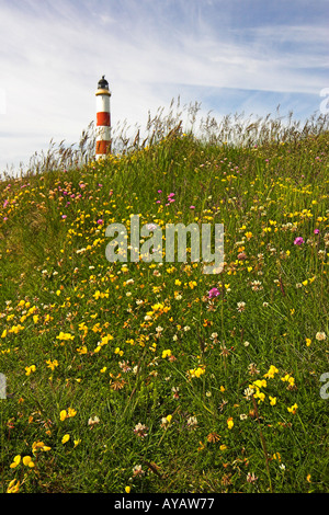 Tarbat Ness Leuchtturm Easter Ross, Schottland Stockfoto