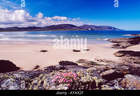 Sparsamkeit und Felsen neben Strand, Rosbeg Tramore, County Donegal, Irland. Stockfoto