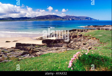 Sparsamkeit und Felsen neben Strand, Rosbeg Tramore, County Donegal, Irland. Stockfoto