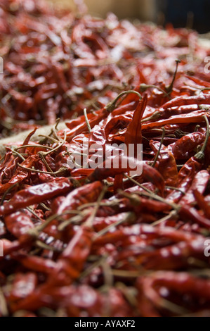 Plünderung getrocknete rote Chilischoten zum Verkauf auf dem Markt in Negombo, in der Nähe von Colombo, Sri Lanka. Stockfoto