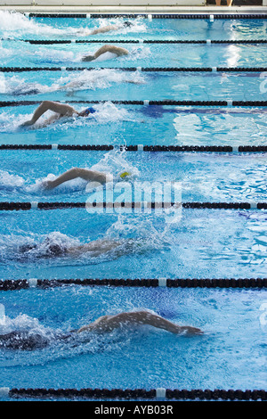 Schwimmen Rennen Moana Pool Dunedin Neuseeland Südinsel Stockfoto