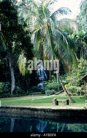 Shaw Park Gardens in Ocho Rios auf Jamaika Stockfoto