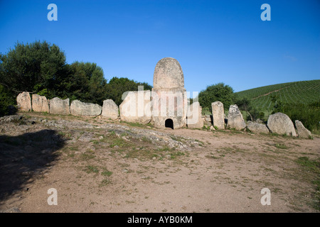 Tomba dei Giganti Li Lolghi Arzachena Sardinien Italien Stockfoto