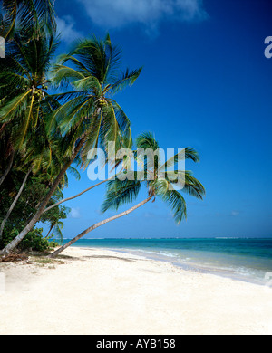 Schöne saubere karibischen Strand am Pigeon Point auf Tobago Stockfoto