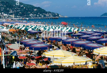 Bunte Sonnenschirme am Strand von Alassio in Italien Stockfoto