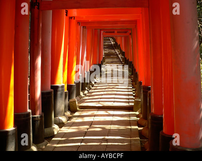 Berühmten Torii-Tore am Kyotos Fushimi Inari Schrein Stockfoto