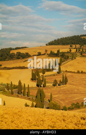 Zick-Zack-Straße Monticchiello Toskana Italien EU Europa Stockfoto