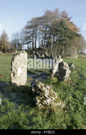 Die Cotswold an die Rollright Stones eine Bronzezeit Steinkreis sind Teil der Folklore und Legenden der Gegend. Stockfoto