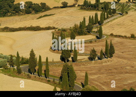 Zick-Zack-Straße Monticchiello Toskana Italien EU Europa Stockfoto