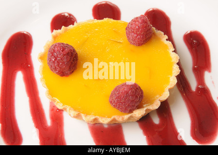 Zitrus-Torte mit Himbeer-Sauce, Stockfoto