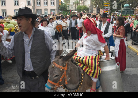 Junges Mädchen auf Esel tragen Milchkannen auf lokale Fiesta auf Gran Canaria auf den Kanarischen Inseln. Stockfoto