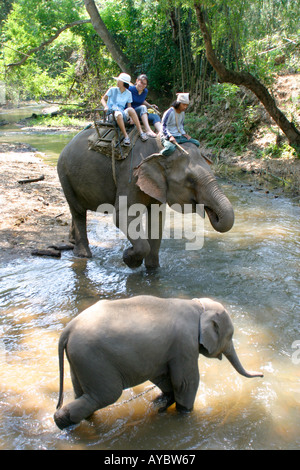 Touristen auf Elefanten Reiten in der Nähe von Chiang Mai Nordthailand Stockfoto