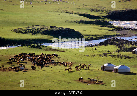 Mongolei, Steppeland. Sommer Hirten Camp an einem Fluss. Stockfoto