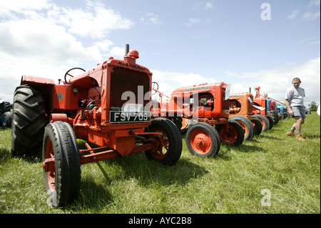 Oldtimer Traktoren auf einer Versammlung in Worcestershire England UK A Reihe von Alice Chalmers Traktoren Stockfoto