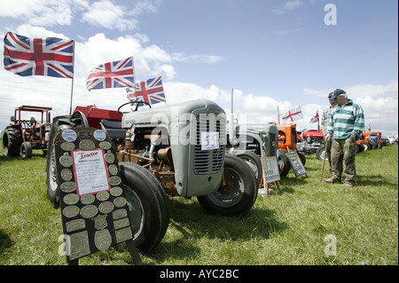 Oldtimer Traktoren auf einer Versammlung in Worcestershire England UK A 1957 Ferguson Grau Gold-Modell FE35 Stockfoto