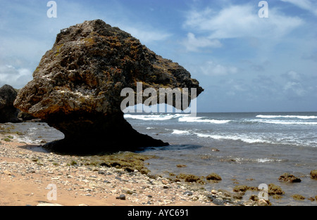 Ost Küste von Barbados Bathsheba St Joseph Barbados West Indies Stockfoto