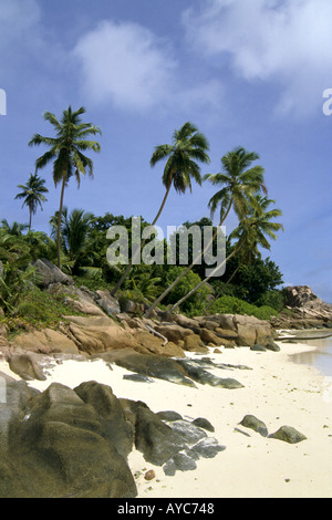 Seychellen La Digue Anse Sévère Strand Sand Palmen Urlaub Stockfoto