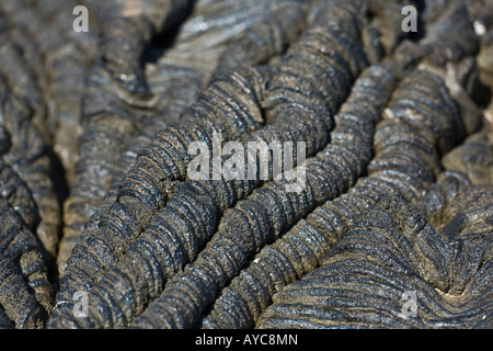 Detail der schwarze basaltische Lava, die Falten auf Bartolome Stockfoto