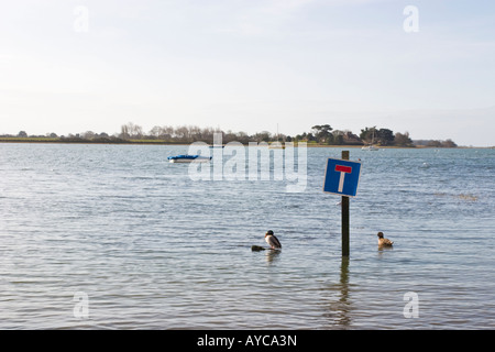 Nicht durch Verkehrszeichen auf Boshams Shore Road, bei Flut Stockfoto