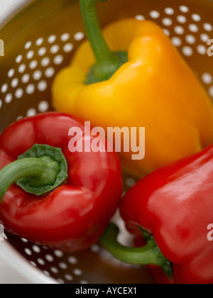 Rote und gelbe Paprika in Metall Sieb - high-End Hasselblad 61mb digitales Bild Stockfoto