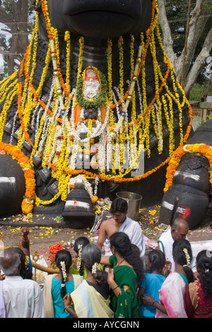 Protzige Statue von Nandi Bull Berg Shivas in der Chamundi Hills Mysore Stockfoto