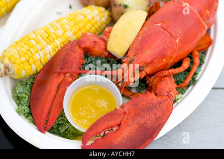 Detail des Hummergreifer auf einem Teller mit Drawn butter Stockfoto