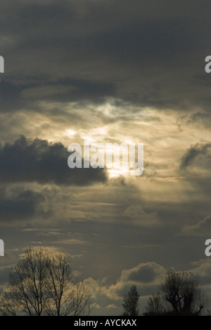 Grauen Himmel mit schwachen Sonnenschein über Winter Laubbäume drohen Stockfoto