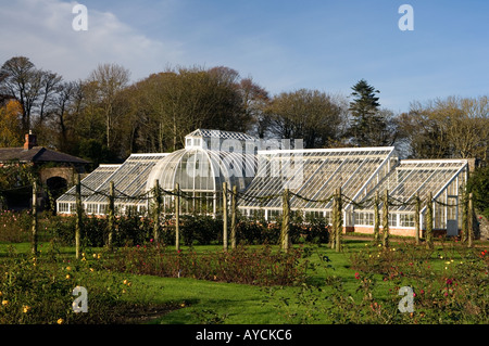 Die restaurierten viktorianischen Gewächshaus bei Ardgillan Castle, Balbriggan, County Dublin, Irland im Winterlicht Stockfoto